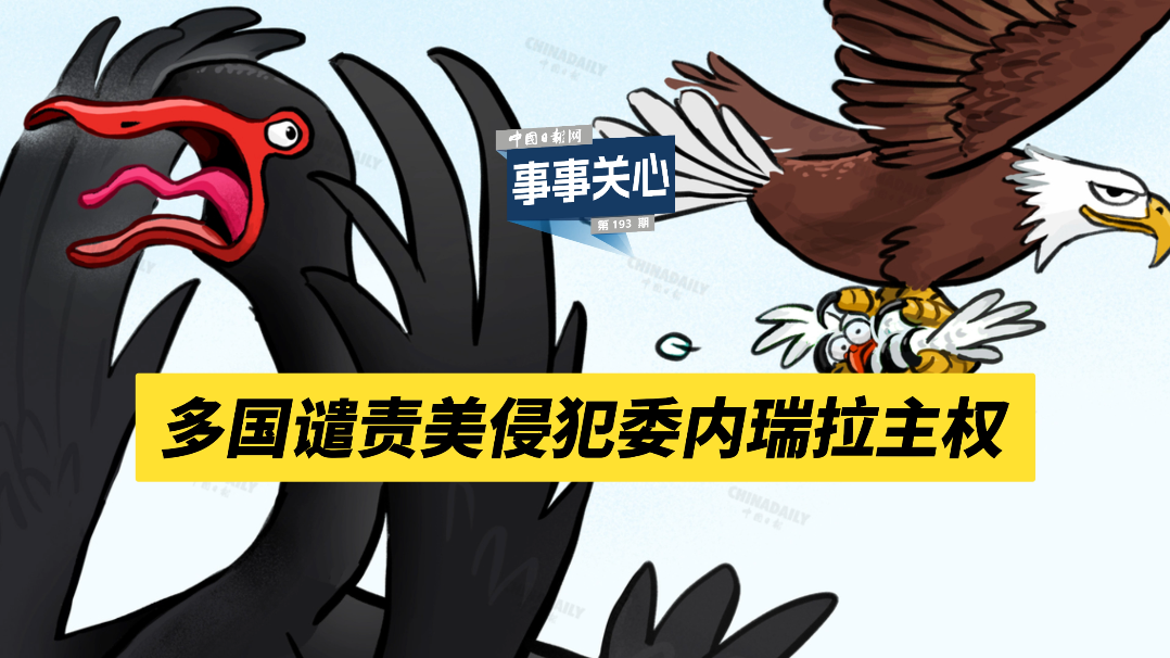 數感星球app下載官方版