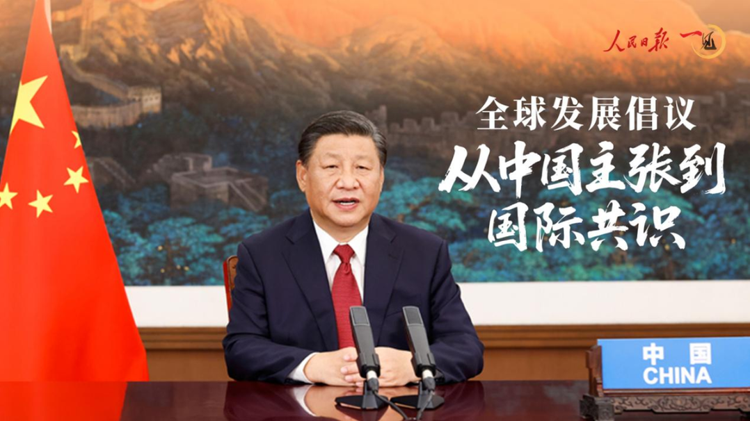 Seal下載器app下載