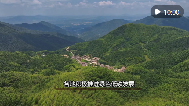 5月10日正式開采!遂溪烏塘仙品荔跑好廣東荔枝營銷第一棒