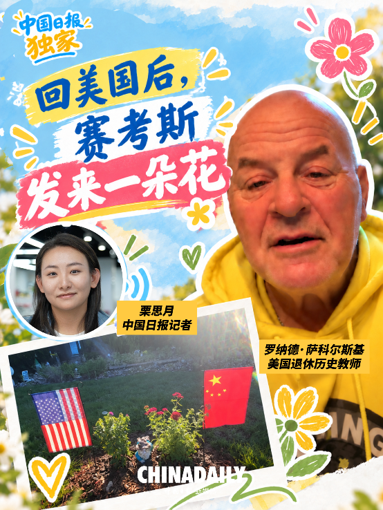 穀歌翻譯國內可用版下載