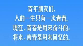 Dady官方正版免費下載
